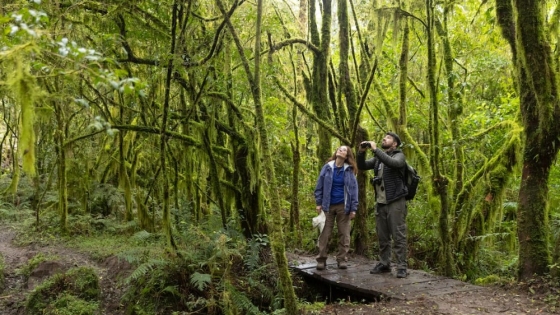 El parque nacional de Tucumán rodeado por los Nevados del Aconquija