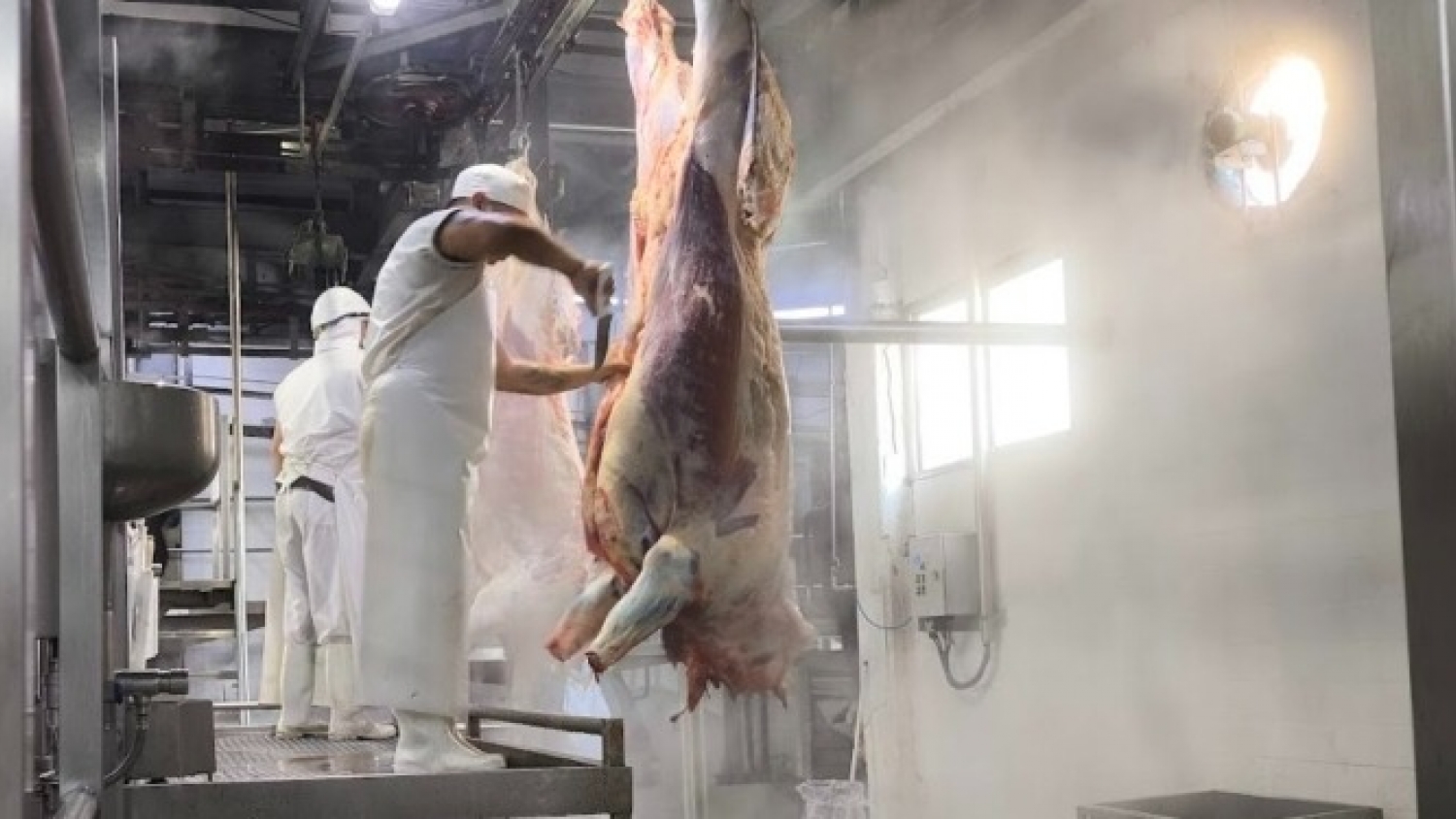 La faena vacuna cayó 30% en mayo y crecen las señales de retención de hacienda en el campo