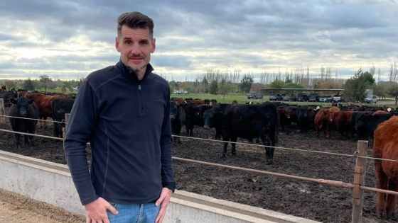 De la cría al feedlot: el modelo ganadero que busca más eficiencia