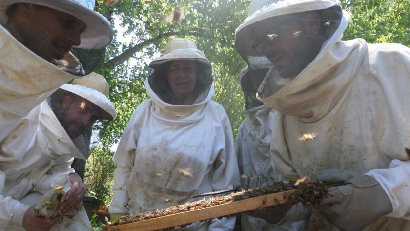 Avances y aprendizajes de los Grupos de Abastecimiento Local (GAL) de la zona del Delta del Paraná