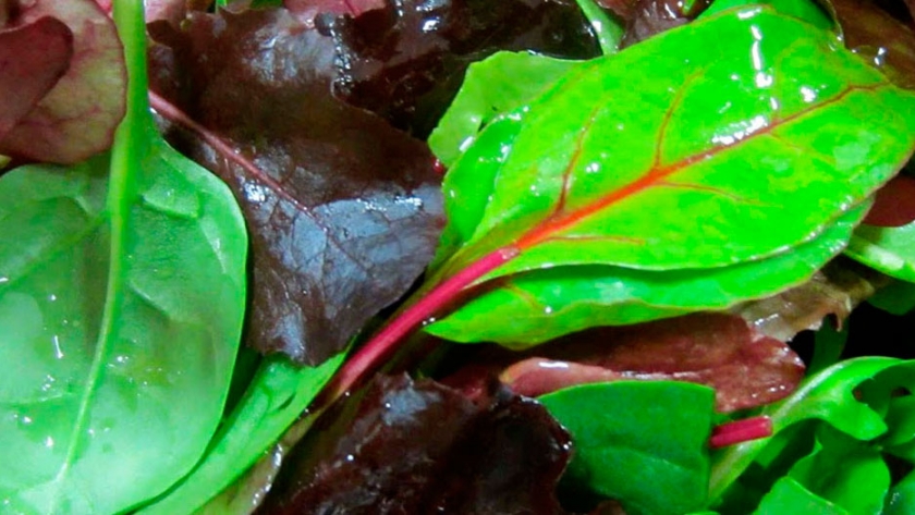 Compost biofertilizante para verduras con más vitaminas y antioxidantes