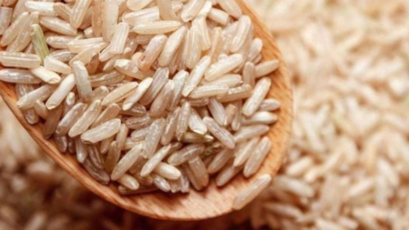 Se encuentran atributos del arroz que mejoran la eficiencia del uso de nitrógeno