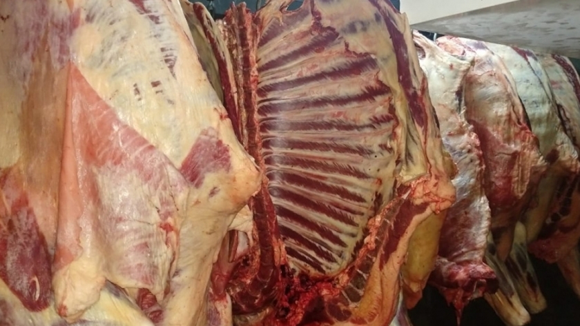 Se realizó operativo de control de carne en Fernández