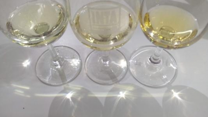 El INTA Mendoza organizó el III Encuentro de Vinos y Variedades Criollas