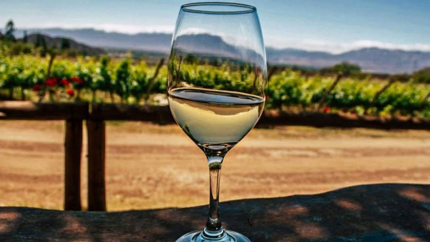 El Museo de la Vid y el Vino invita a conocer los inigualables vinos del Valle Calchaquí