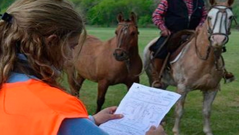 Confirmaron un caso de anemia infecciosa equina en el hipódromo de Palermo