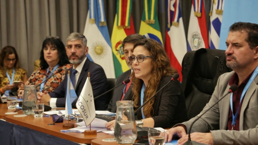 Argentina recibió a las delegaciones de transporte de Brasil, Chile, Paraguay y Uruguay para avanzar en la integración regional