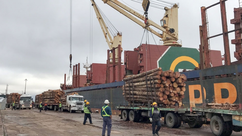 Los puertos entrerrianos continúan en plena actividad
