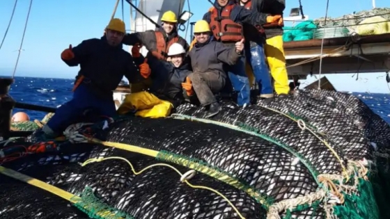 Capturas Máximas Permisibles 2025: Garantizando el equilibrio entre la mayor explotación y la sostenibilidad de los recursos vivos del mar argentino