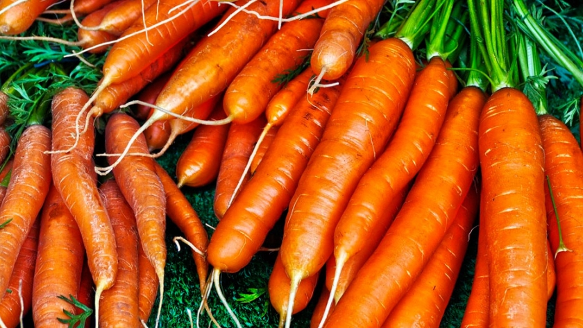Zanahoria: el precio subió más de ocho veces