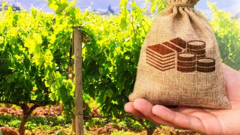 Se reeditará el curso sobre costos agropecuarios para la agricultura familiar