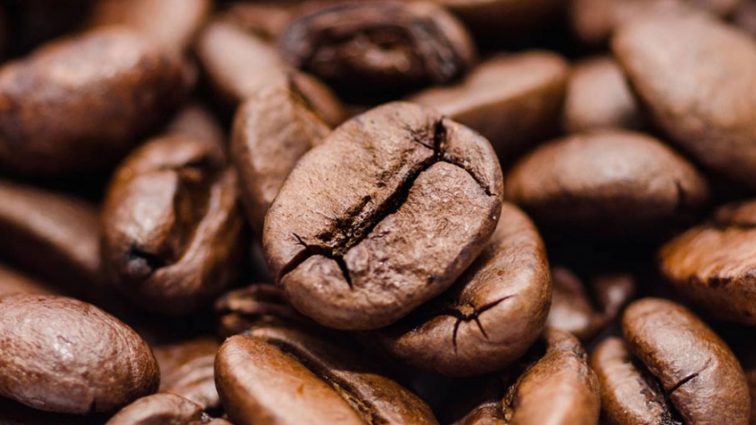 Comenzará en Bolivia subasta electrónica internacional de café
