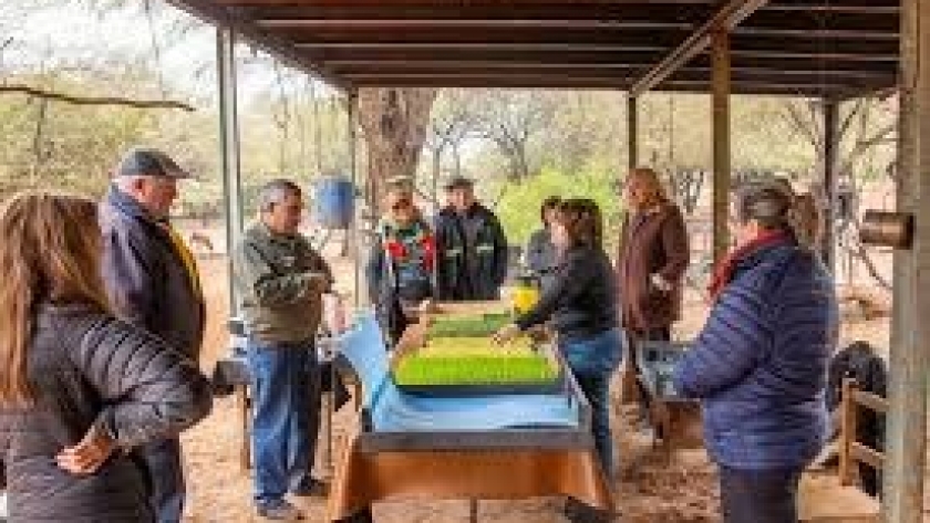 Jornada de capacitación en producción de forraje verde hidropónico en Carranza