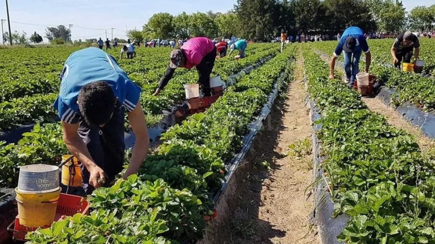 General Lamadrid impulsa la producción regional y el desarrollo agropecuario
