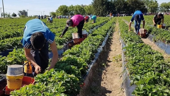 General Lamadrid impulsa la producción regional y el desarrollo agropecuario