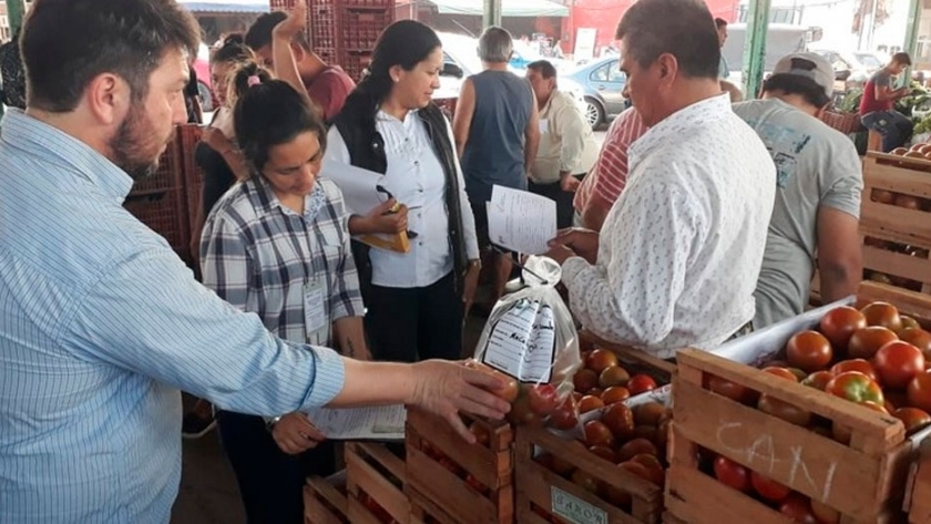 Toma de muestras para diagnosticar el grado de cumplimiento de BPA en el sector frutihortícola
