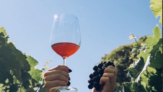 Jujuy lanza su ruta del vino con una jornada que une enoturismo, gastronomía y cultura