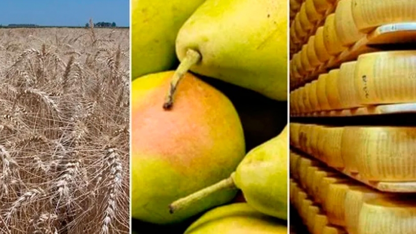 Del trigo a los quesos: los productos del campo en riesgo por la decisión del Gobierno sobre el Mercosur
