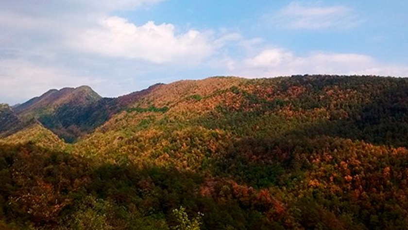 MIDMACC, un proyecto para revitalizar las zonas de montaña y hacerlas más resistentes al cambio climático