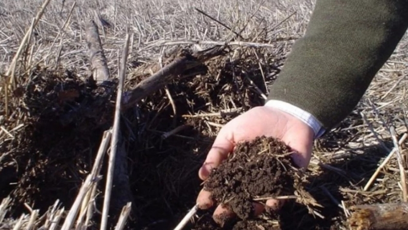 Agricultura: En Argentina evolucionan cinco prácticas sustentables