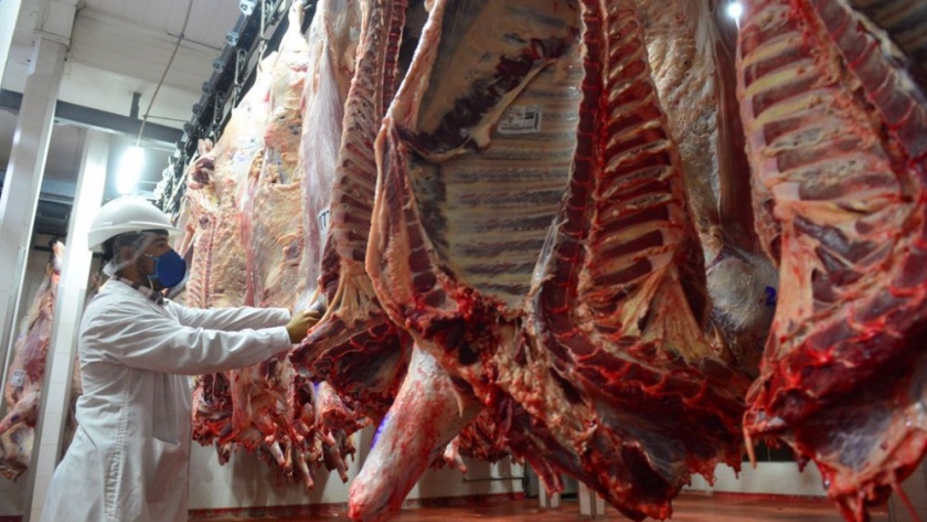 Carne: frigoríficos regionales rechazan la implementación de cupos de exportación