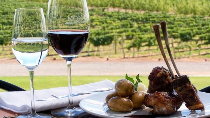 Neuquén se suma al Día Mundial del Malbec