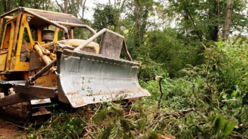 El Gobierno paralizó un desmonte ilegal en Güemes y aplicará multas