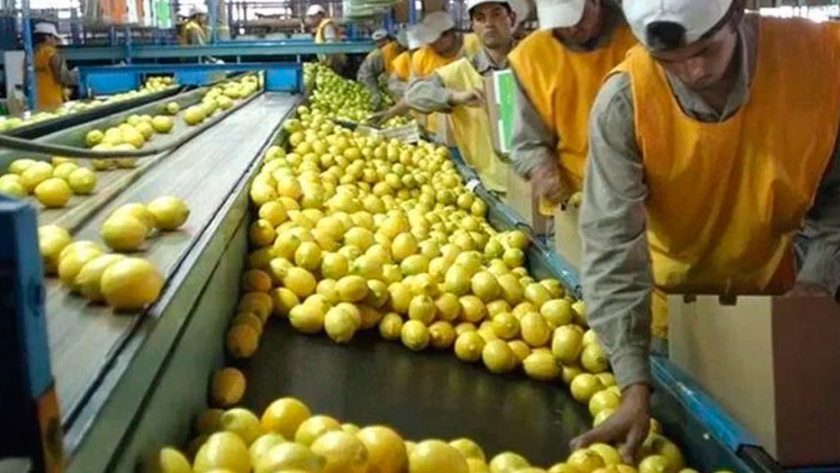 La agroindustria aporta el 22% del empleo privado argentino, sostiene un informe de FADA