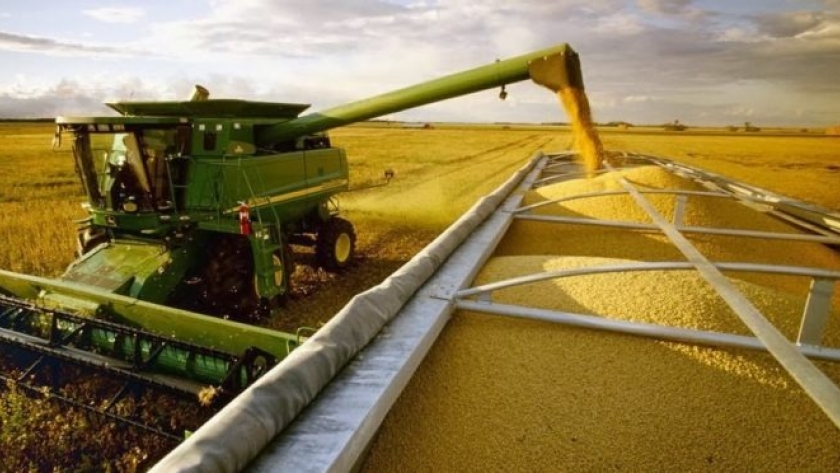 El campo tendrá la mejor cosecha en mucho tiempo y le lloverán dólares al gobierno de Milei