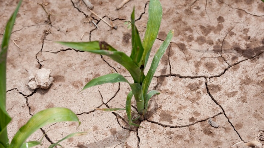 Clima: un factor de riesgo, potenciado por el cambio climático