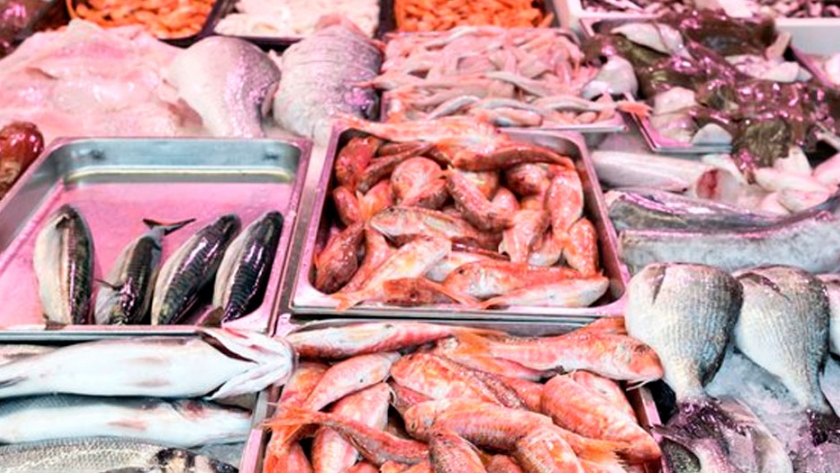 Uno de cada cinco filets de pescado comercializados en la costa bonaerense no es lo que indica su etiqueta