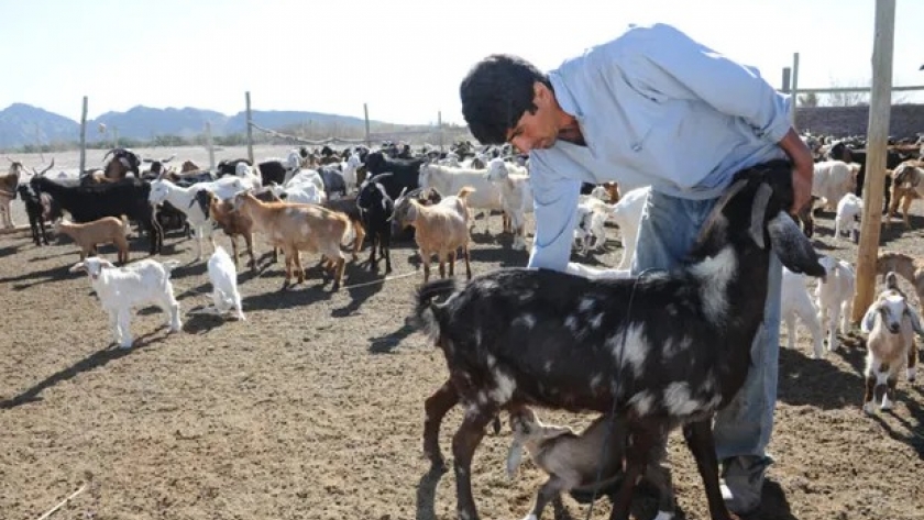 El Gobierno pone en funcionamiento el Instituto Nacional de la Agricultura Familiar, Campesina e Indígena