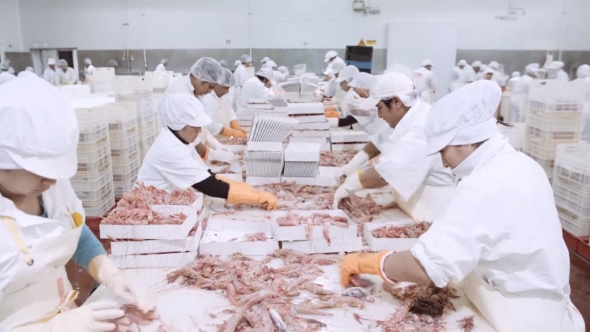 La producción pesquera cayó en agosto 19,7% interanual y acumula una baja del 9,8% en el año