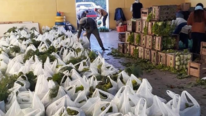 Bahía Blanca: a través de las Bolsas Solidarias de la Agricultura Familiar ya se donaron 13 mil kilos de verduras
