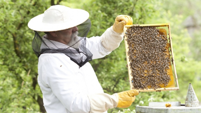 Anunciaron la 26° edición de la Expo Apícola Doblas