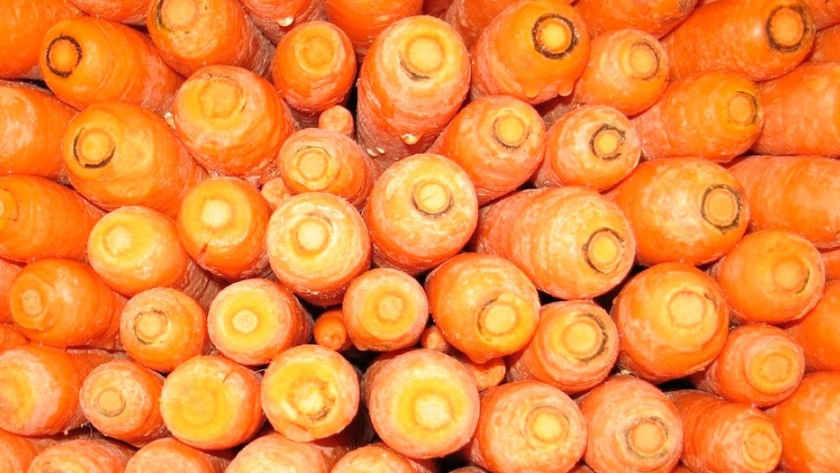 Aprovechan desechos de zanahoria para hacer biocombustible