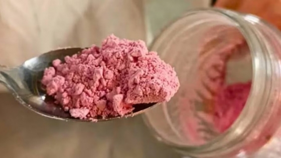 De Jujuy al laboratorio: desarrollan un yogur en polvo de leche de cabra y pitaya roja