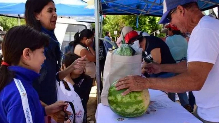 Feria de la agricultura familiar con precios promocionales en el partido de San Martín