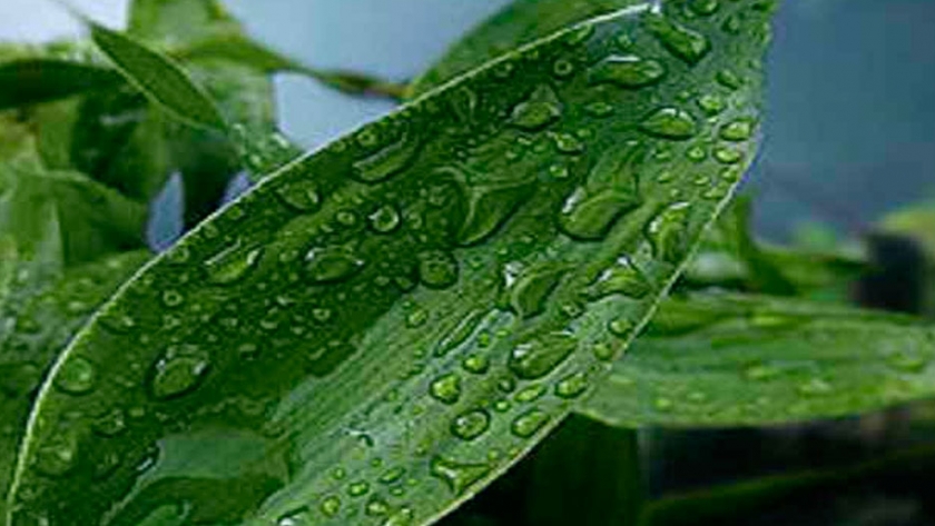 Condensador de aire produce agua potable