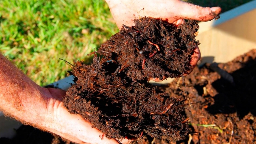 Cinco pasos para armar tu propio compost