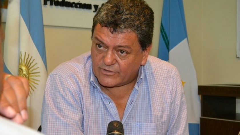 Algodón: el gobierno provincial fijó los precios de referencia