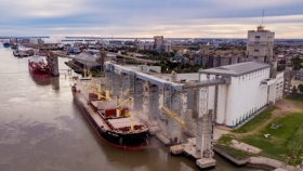 Aparecieron importantes “premios” para el maíz en Bahía Blanca por la bajante del río Paraná