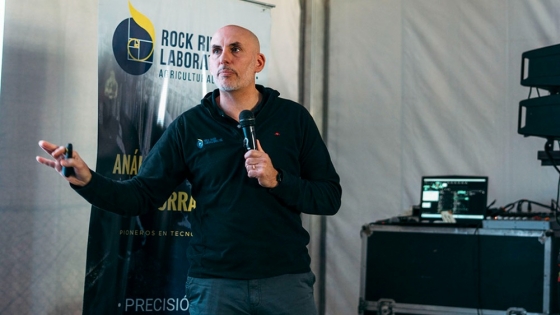 El maíz recuperó protagonismo en los silos y mejoró las reservas forrajeras para los tambos