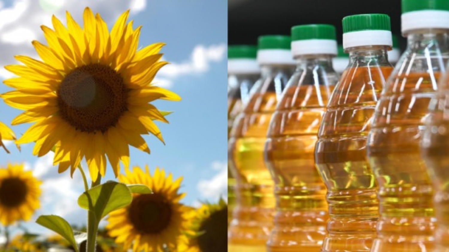 Agroindustria en máximos históricos: récords productivos y exportaciones por más de USD 52.000 millones en 2025