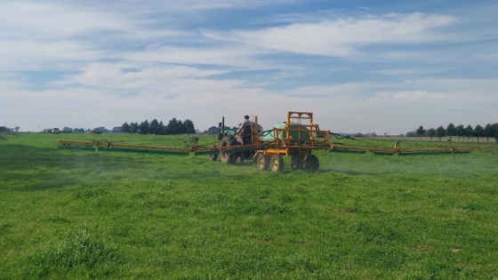 Estudian biopreparados para mejorar la fertilización de pasturas