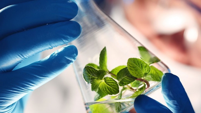 Bits x Bites invierte US $ 30 millones para impulsar la tecnología agroalimentaria en China