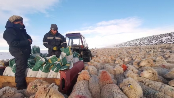 Enfrentando la tormenta: cómo Pablo Stürzenbaum superó el temporal de nieve en la Patagonia