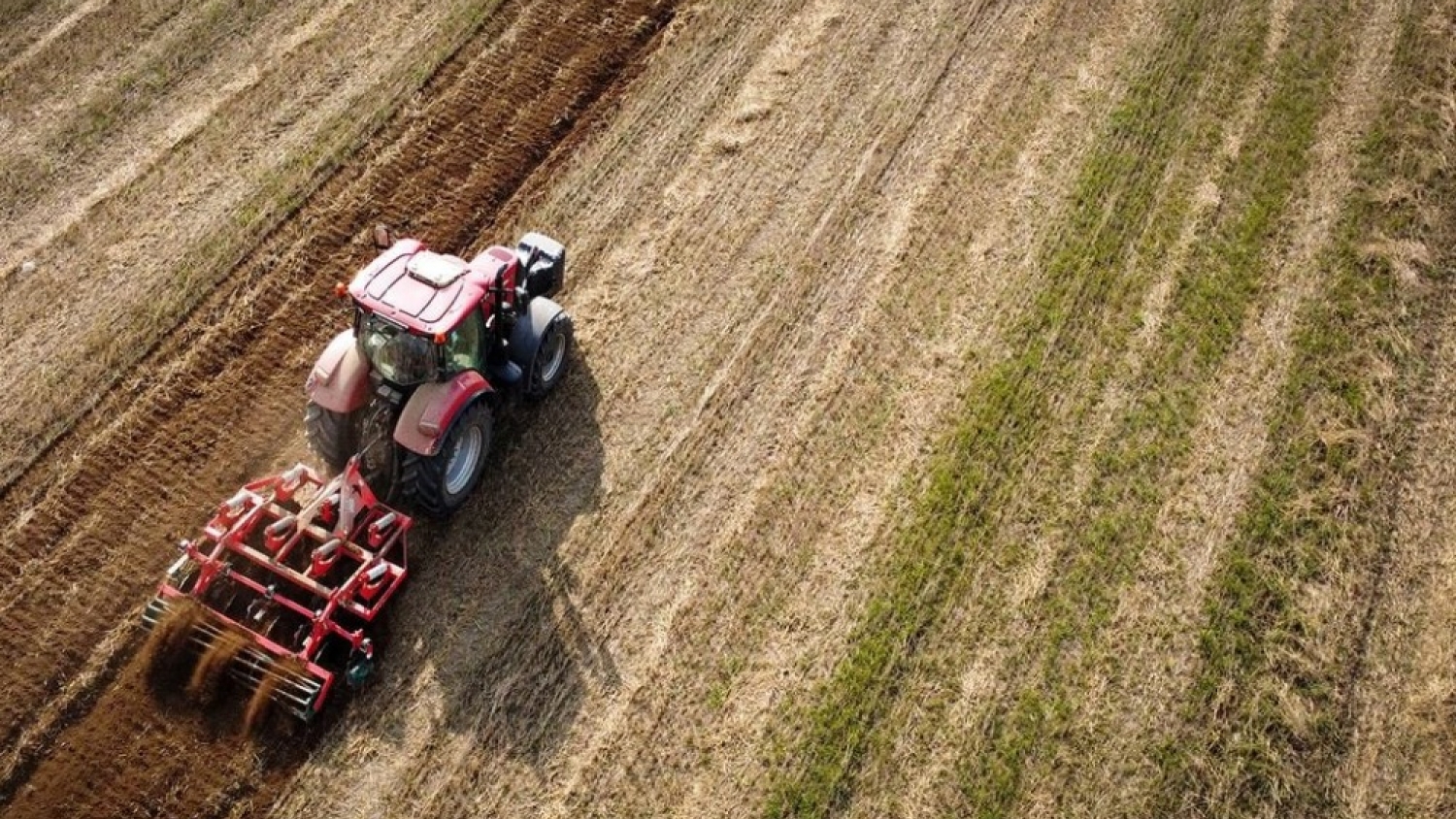 Cae la confianza del campo y crece la cautela en las decisiones de inversión