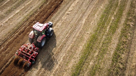 Cae la confianza del campo y crece la cautela en las decisiones de inversión