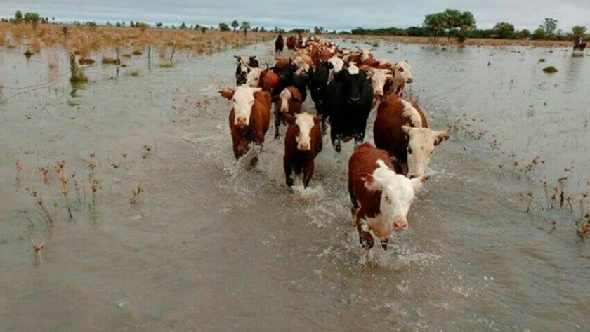 Cómo reducir las pérdidas tras las inundaciones
